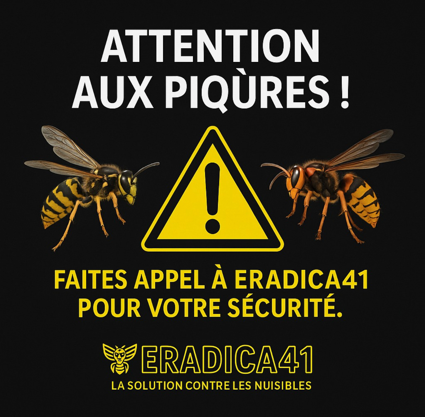 Eradica41 Expert en Solutions anti frelons, guêpes et abeilles